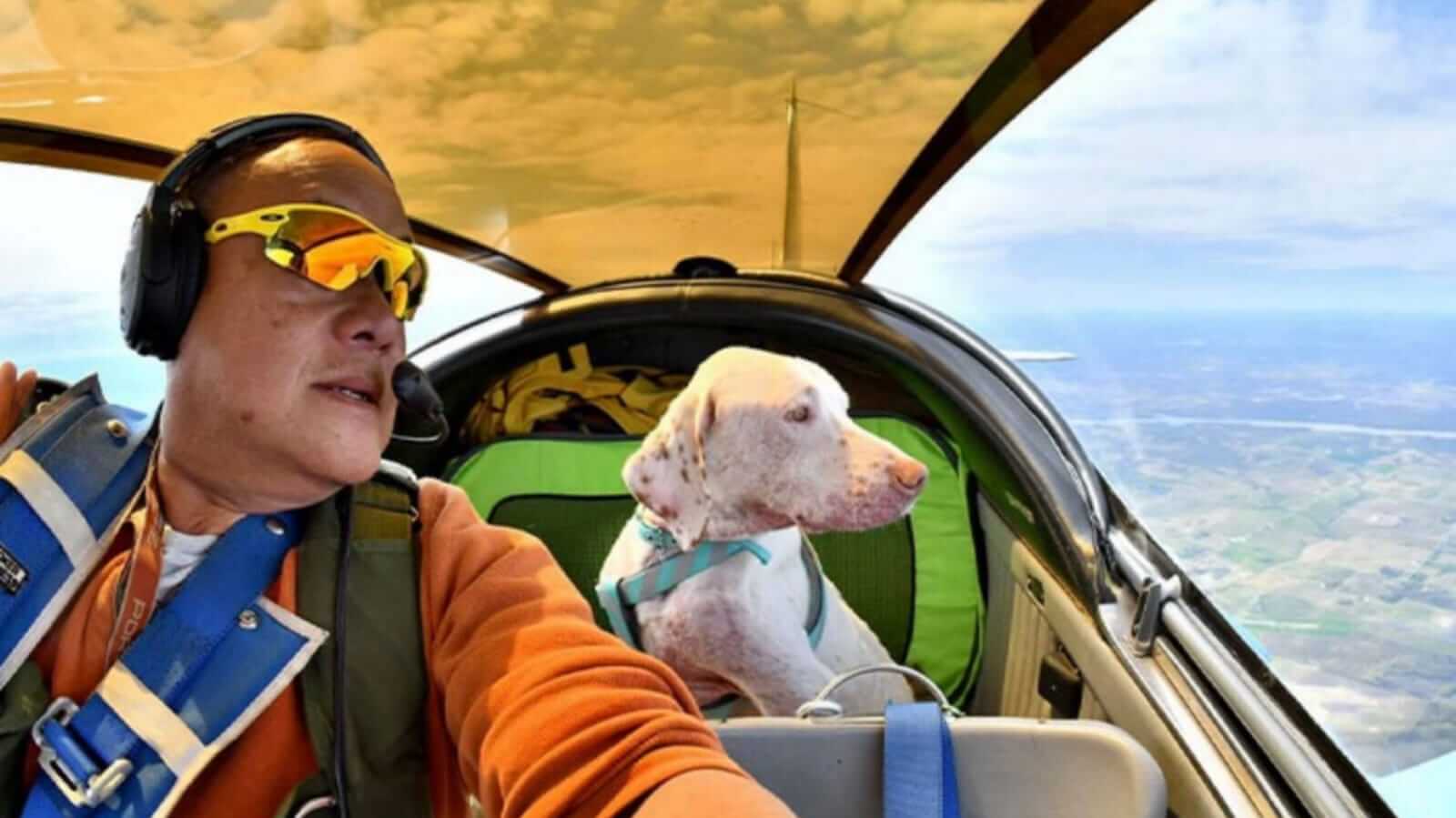 Piloto com cachorro