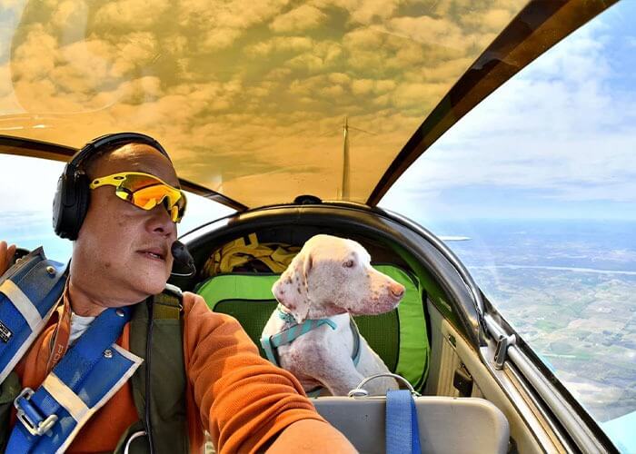 Piloto com cachorro
