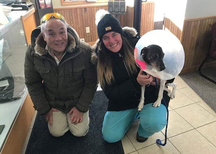 Homem, mulher e cachorro