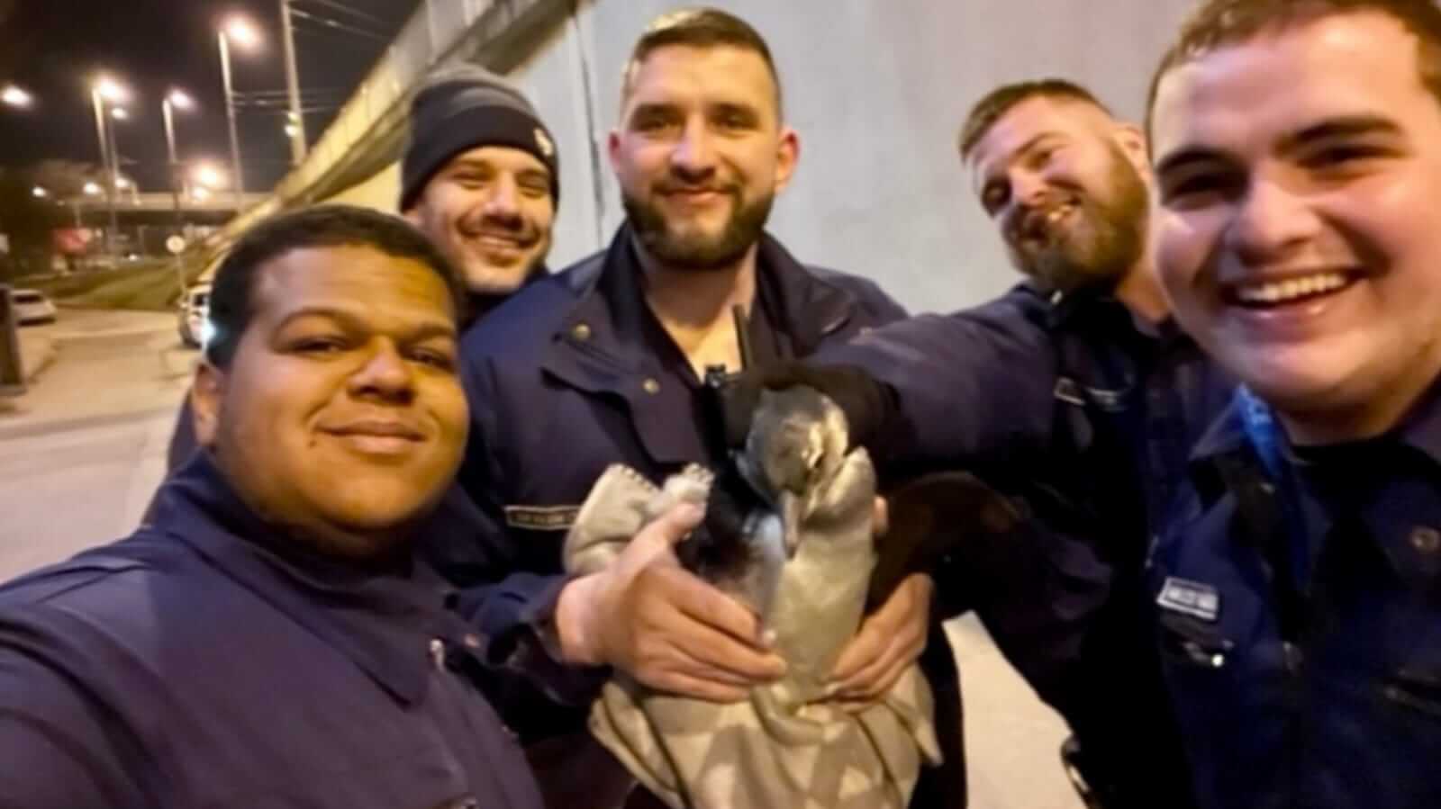 Policiais com pinguim resgatado