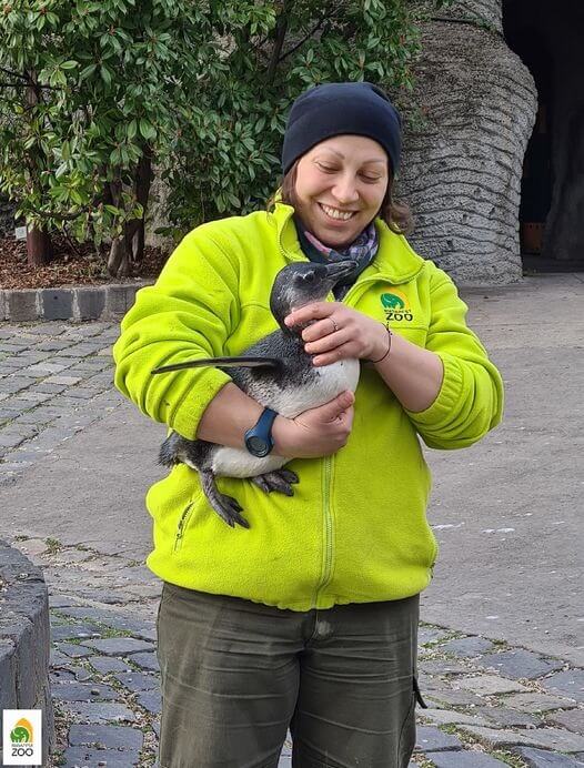 Mulher segurando pinguim