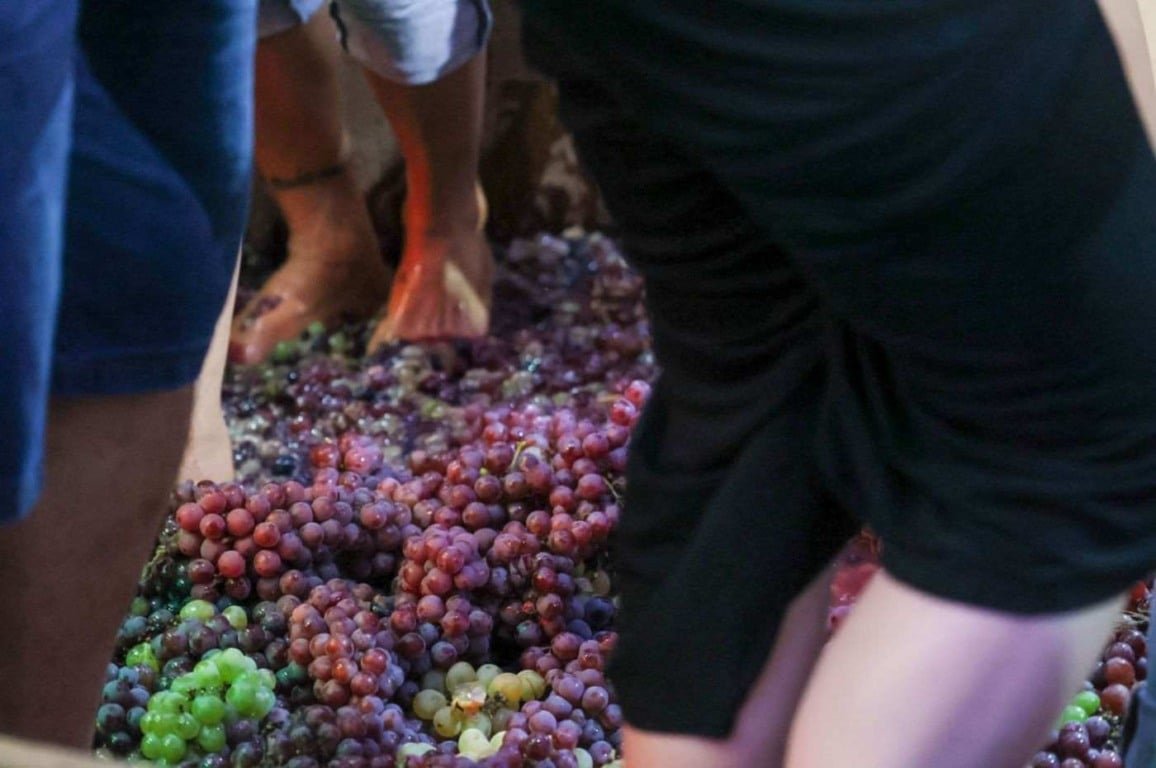 Pisa da uva na Festa da Uva de Jundiaí