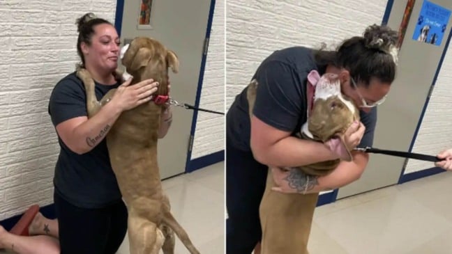 Foto: Reprodução/Instagram/FWACC