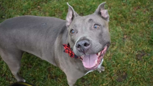 (Foto: Arquivo pessoal/Jennifer Lee)