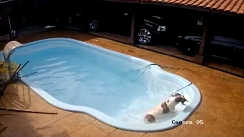 (Foto: Reprodução/câmeras de segurança)