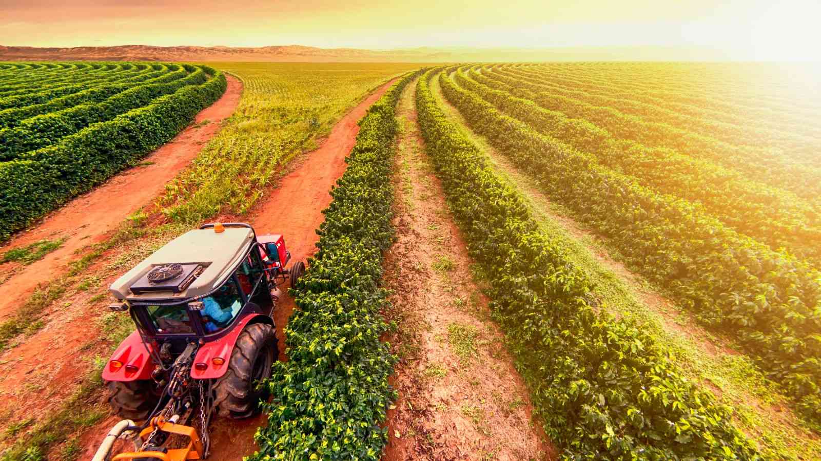 Trator passando em plantação