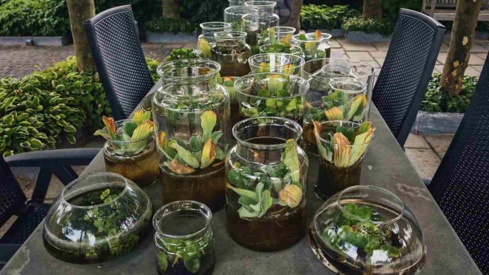 (Foto: Julia700702/Canva)