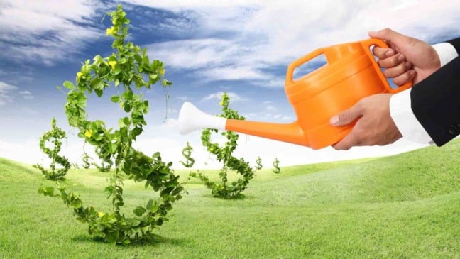 (Foto: darksite/Canva)