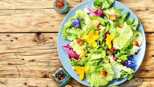 Foto: Mykola Lunov/Canva