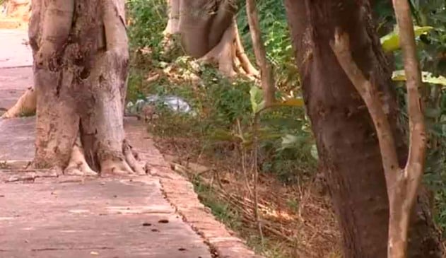 Polícia afirma que suspeita de matar bebê após parto já havia escondido outra gravidez