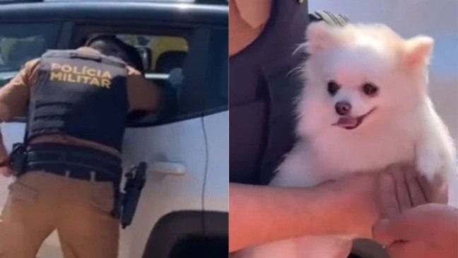 Polícia salva cachorro preso em carro sob o sol escaldante
