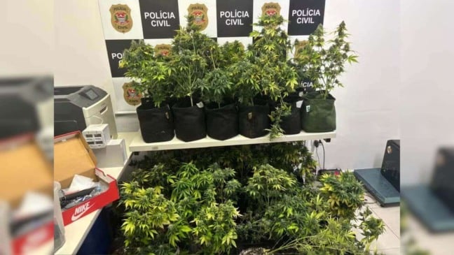 Foto: Divulgação/Polícia Civil