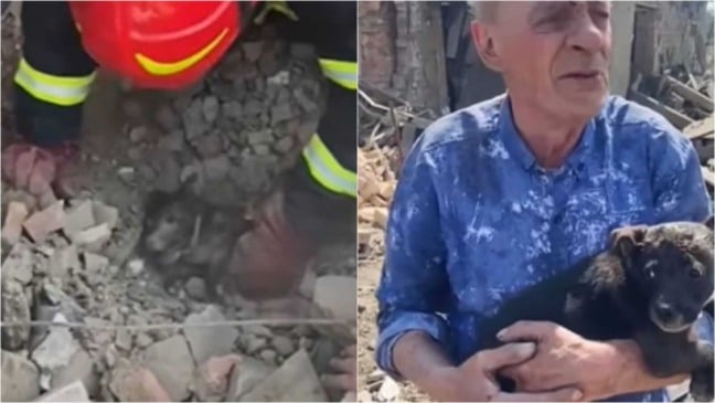 Resgate de cachorro na Ucrânia