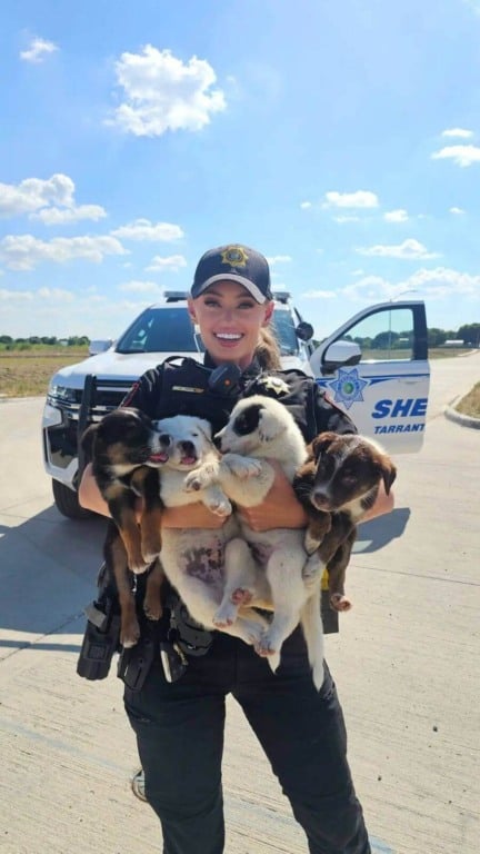 Policial posta foto com filhotes de cachorro abandonados