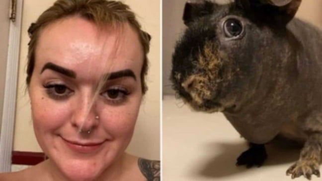 Mulher e porquinho-da-índia