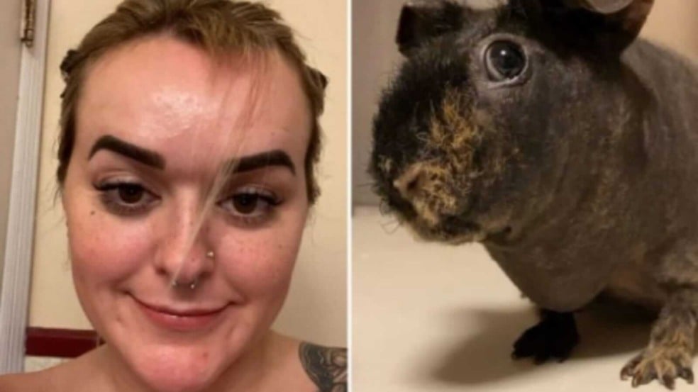 Mulher e porquinho-da-índia