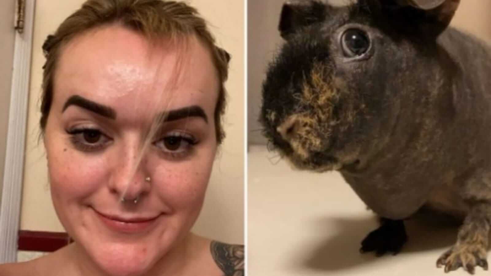 Mulher e porquinho-da-índia