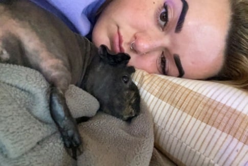 Mulher e porquinho-da-índia