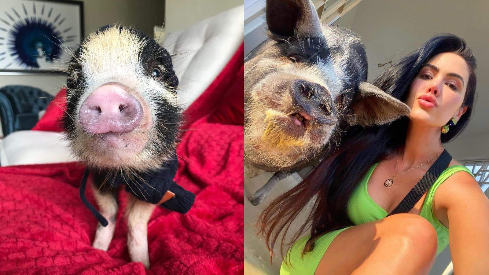 Sileimã e Francisco