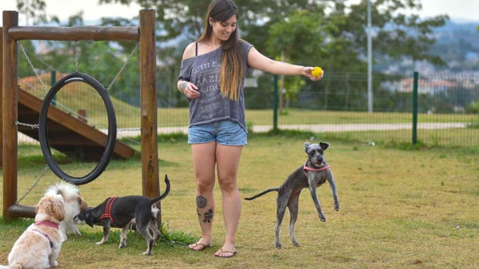 Bianca leva os cachorros na Praça do Cidade Jardim (Foto: Prefeitura de Jundiaí)