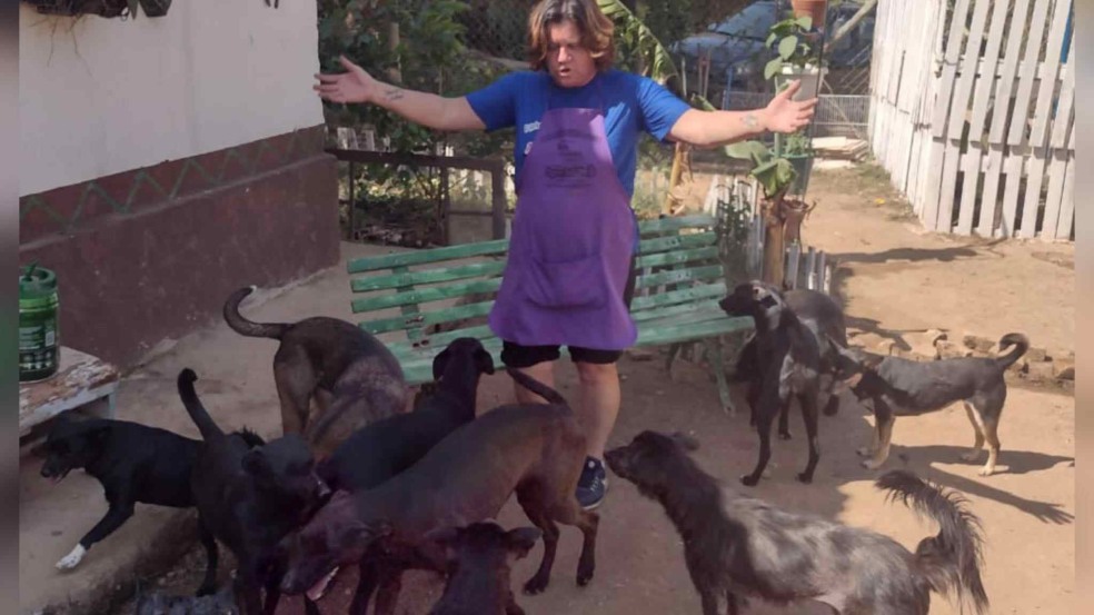 (Foto: Divulgação/Pracinha dos Dogs)