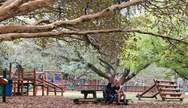 Prefeito de São Paulo sanciona lei que proíbe fumo em parques públicos