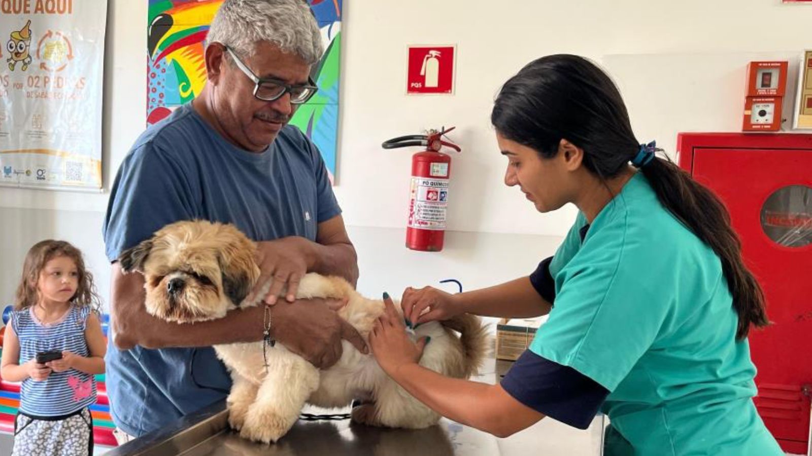 Cachorro tomando vacina