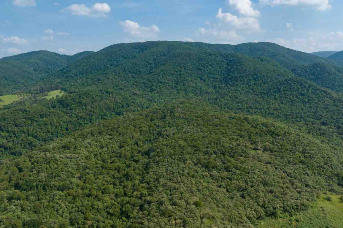 Prefeitura vai plantar mais de 6 mil árvores nas margens do Rio Jundiaí