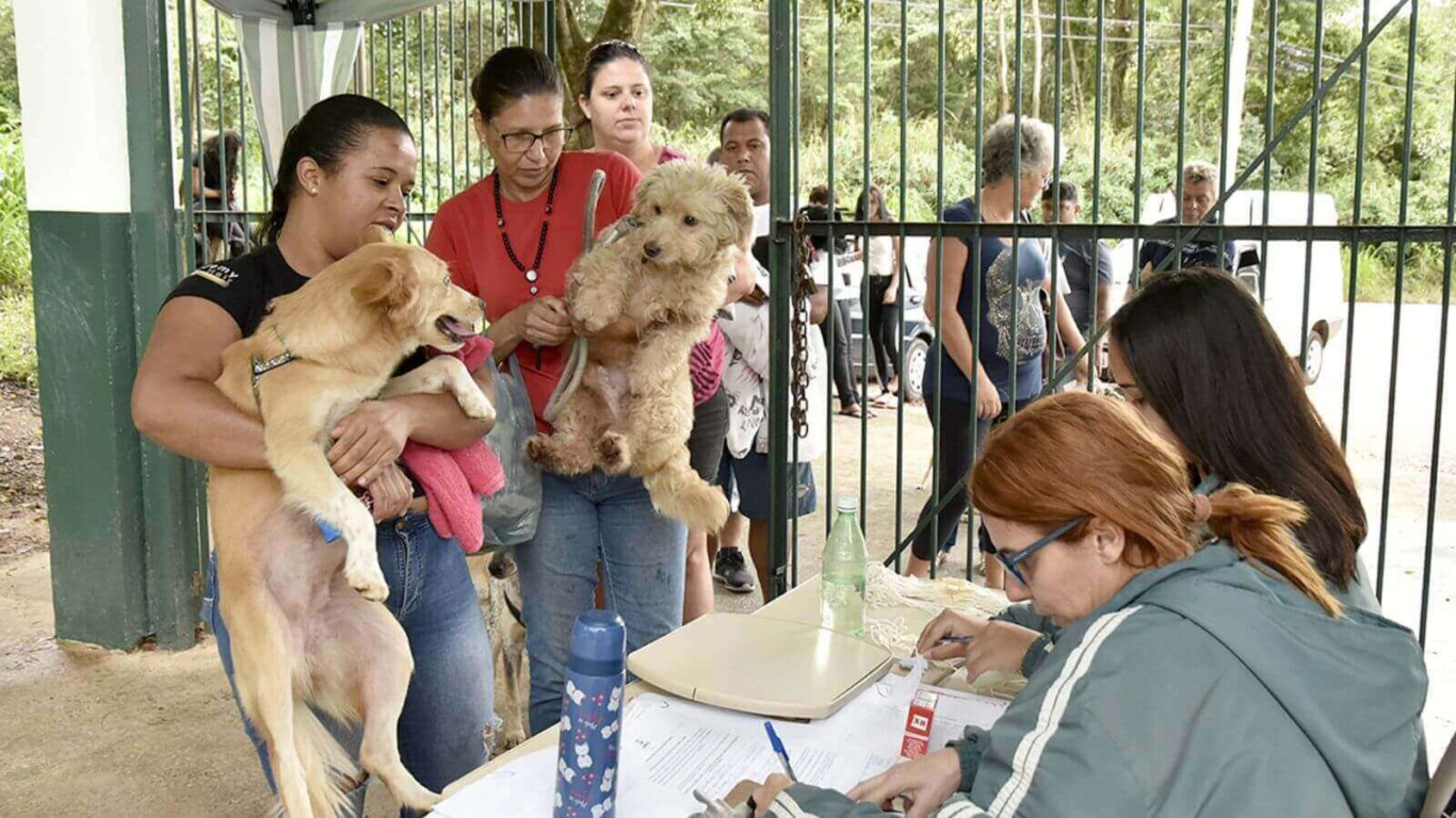 Pessoas em fila com animais para castração