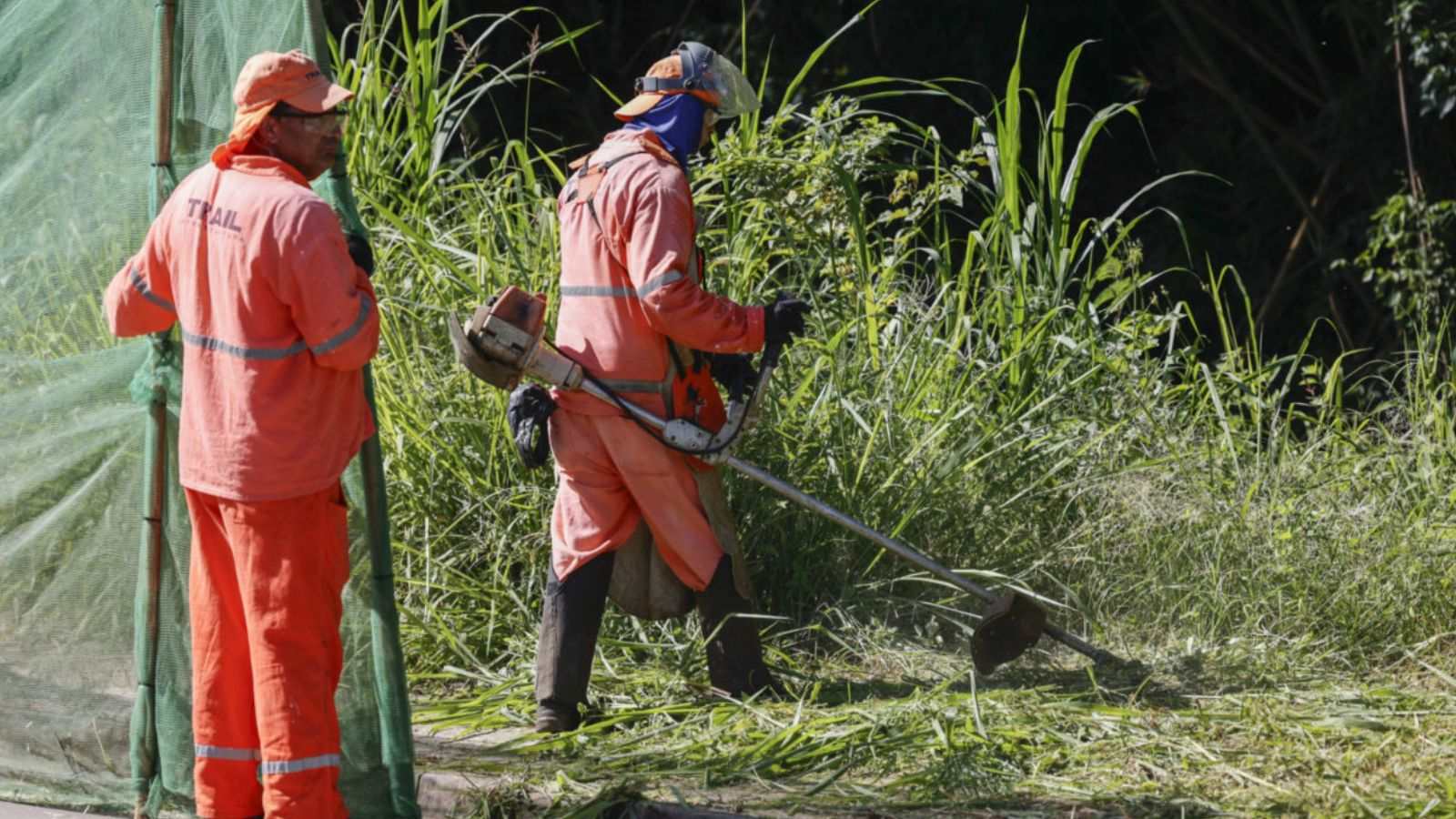 Prefeitura intensifica corte roçagem de mato