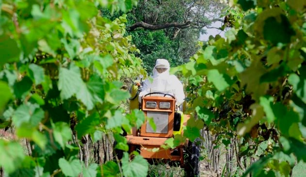 Prefeitura de Jundiaí promove Encontro de Agricultores para debater incêndios