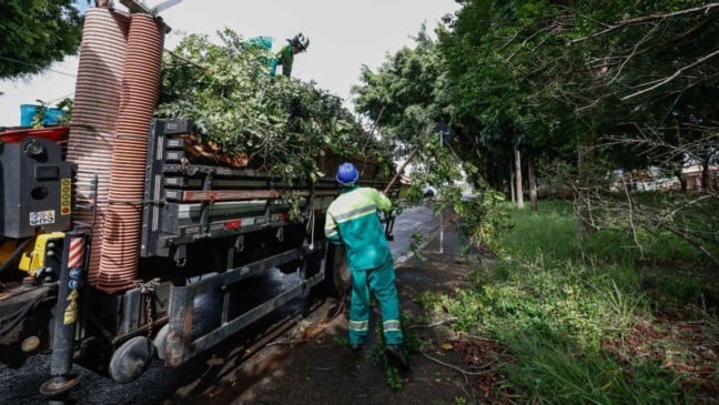 Programa "Quem Ama, Cuida"
