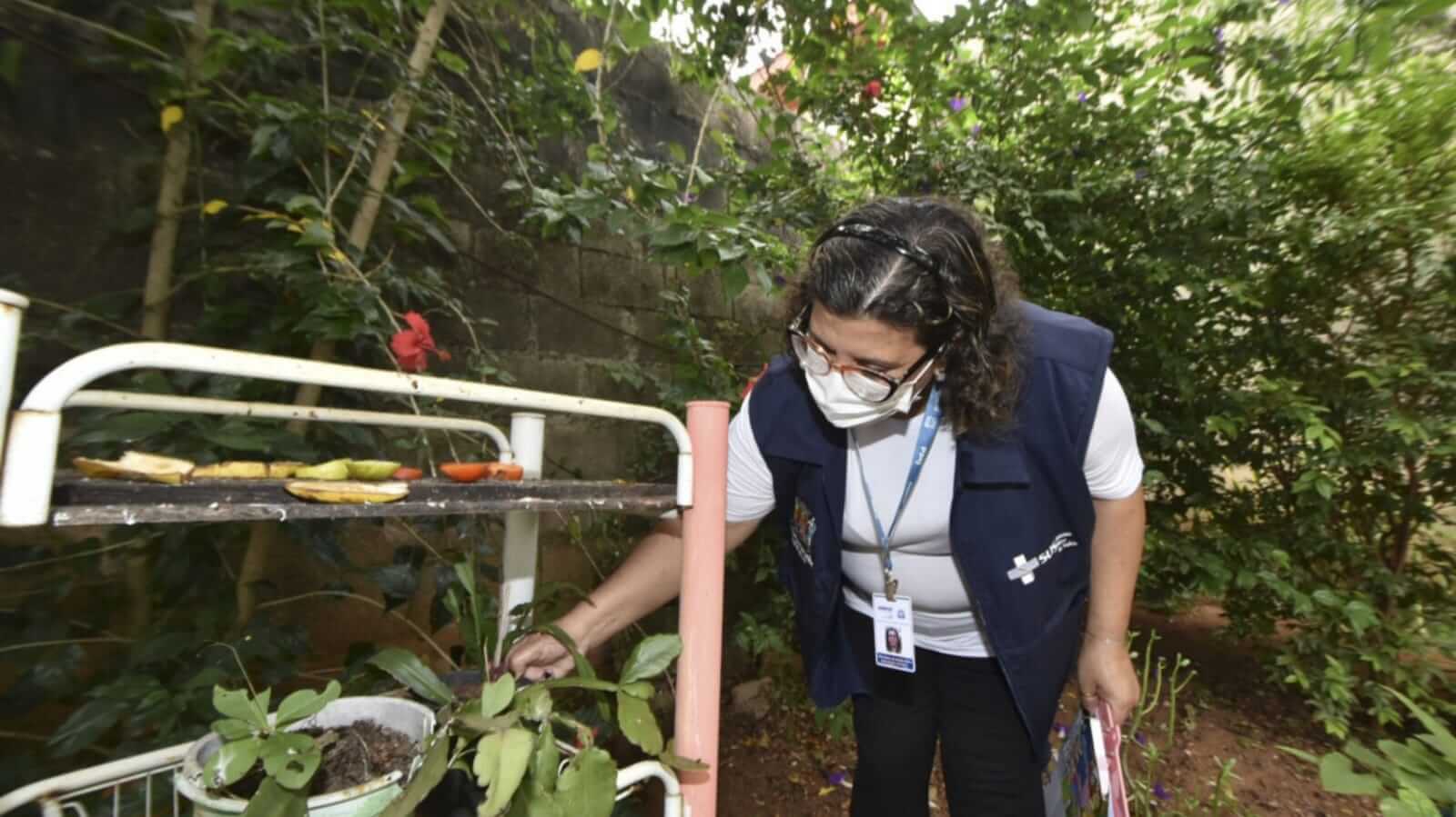 Mulher analisando vasos de plantas