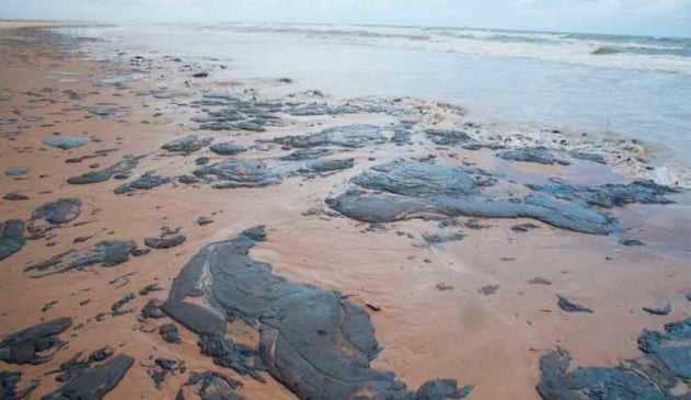 Procon oriente quem tem viagens marcadas para o nordeste por conta de vazamentos de óleo