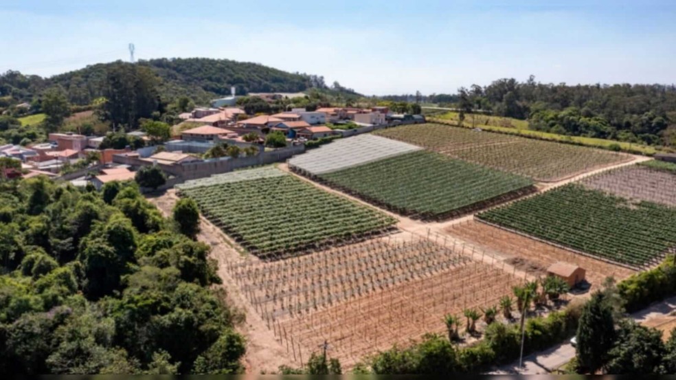 Foto: Prefeitura de Jundiaí