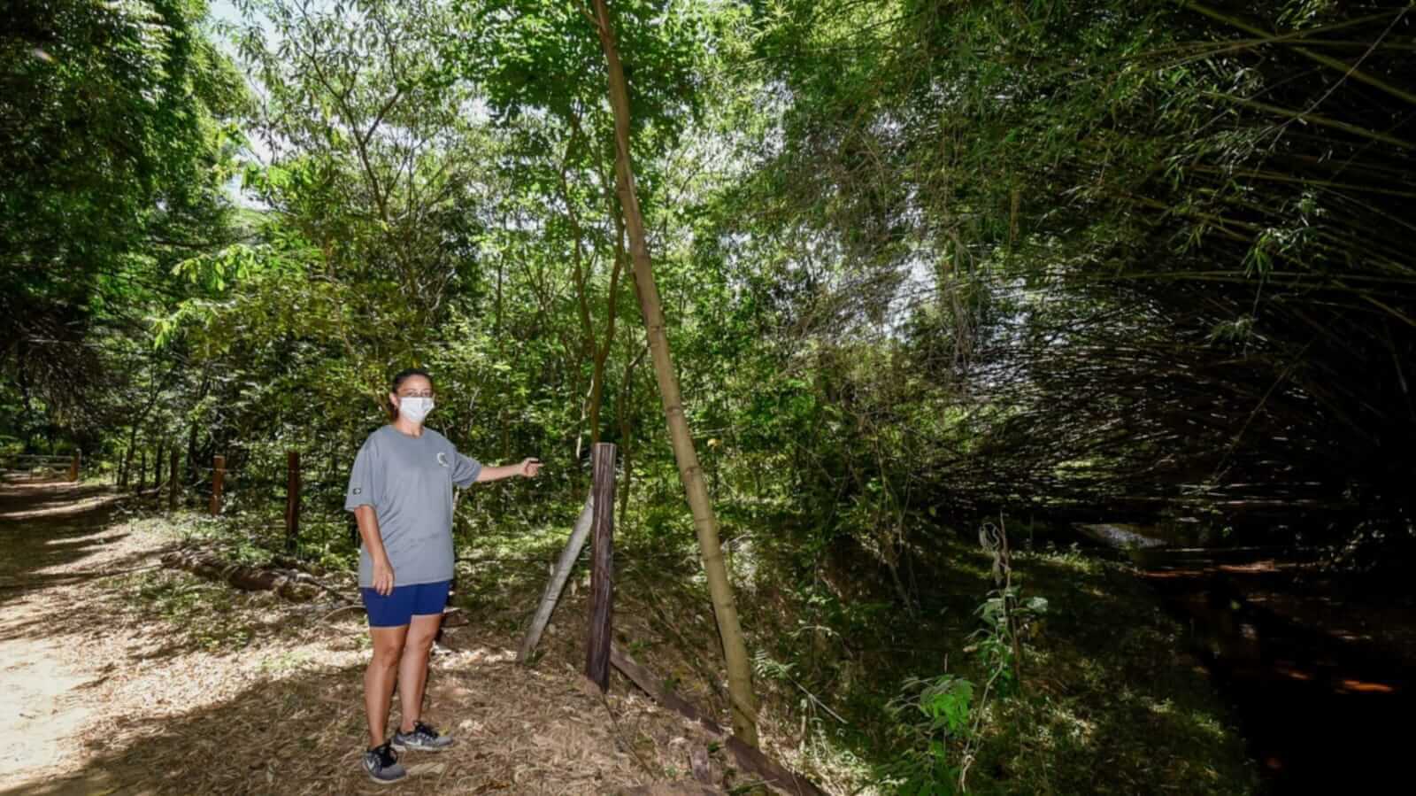 Mulher em pé em área de produção rural
