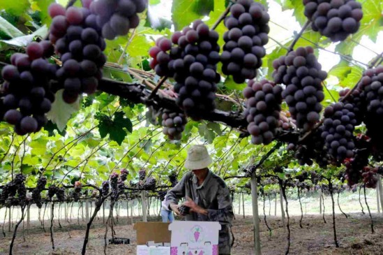 Foto: Prefeitura de Jundiaí