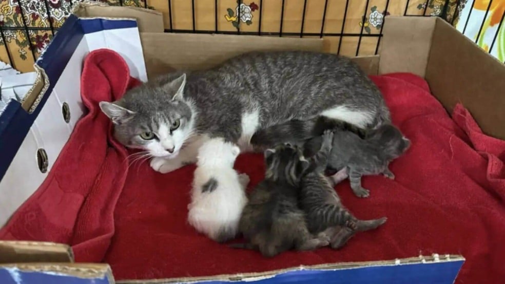 Foto: Reprodução/Facebook/John Debacker