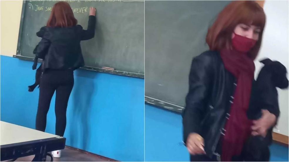 Professora com cachorro em sala de aula