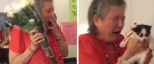 Foto: Amigo Cão/ Arquivo pessoal