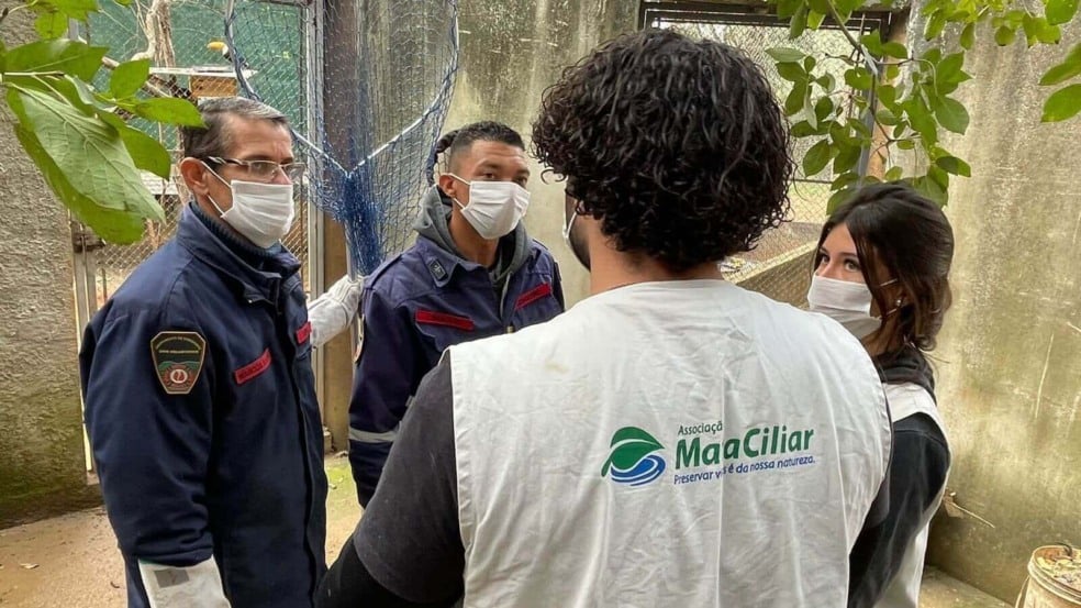 Foto: Divulgação/Mata Ciliar