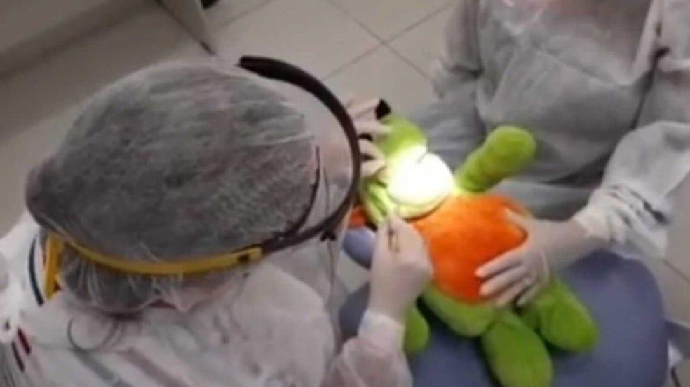Dentistas com bicho de pelúcia