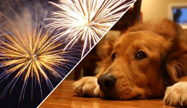 Proibição de fogos