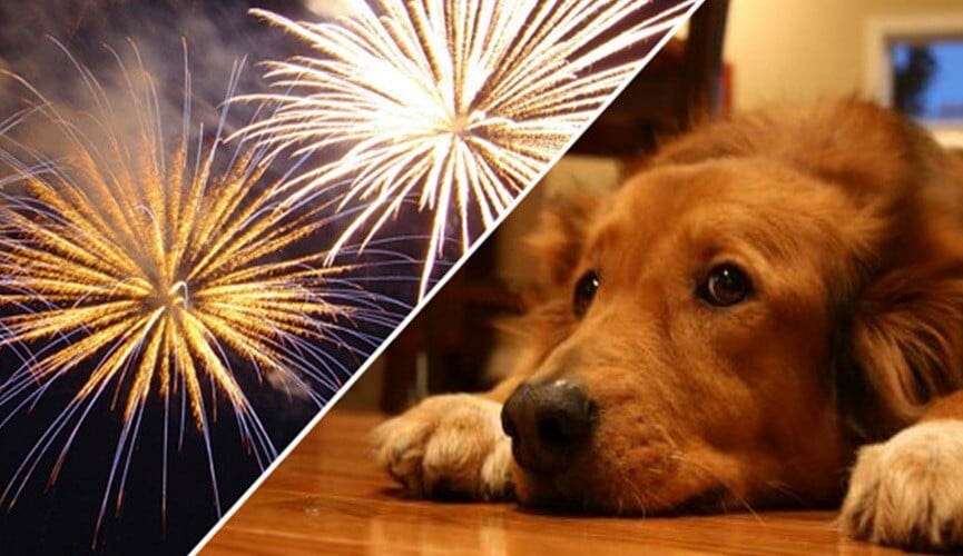 Proibição de fogos