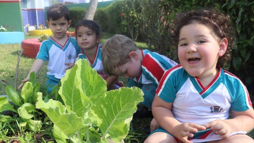 Foto: Divulgação/PMCLP