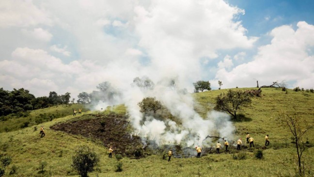 Foto: Flávio Grieger
