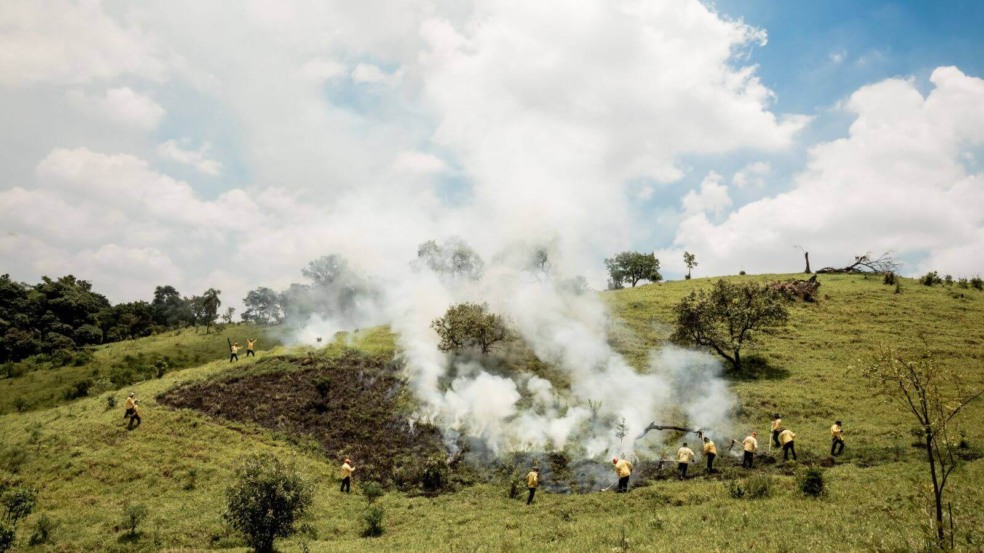 Foto: Flávio Grieger