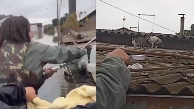 Foto: Reprodução/Instagram/Ale Prandi