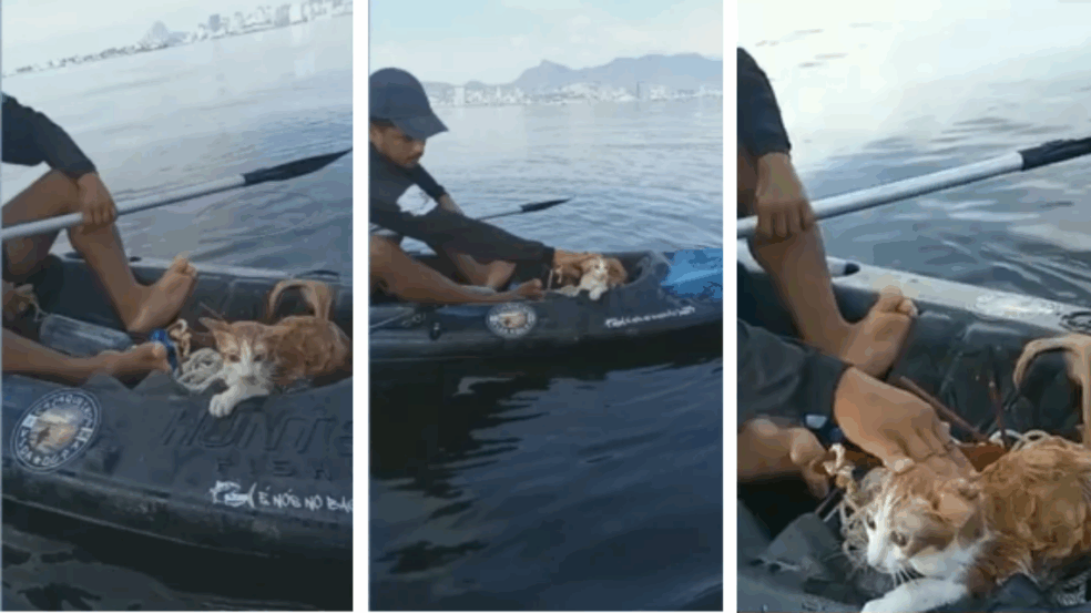 Foto: Reprodução/ TV Globo