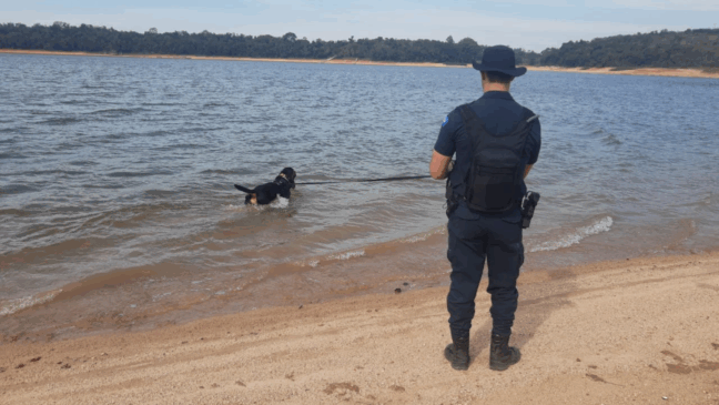 Polícia Civil tem auxilio do Cão Max para achar homem desaparecido em represa de Votorantim